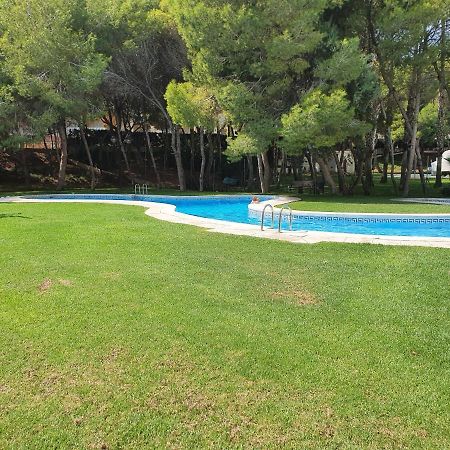Apartment In Campoamor Overlooking The Swimming Pool Exterior photo